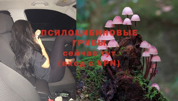 марки lsd Мегион