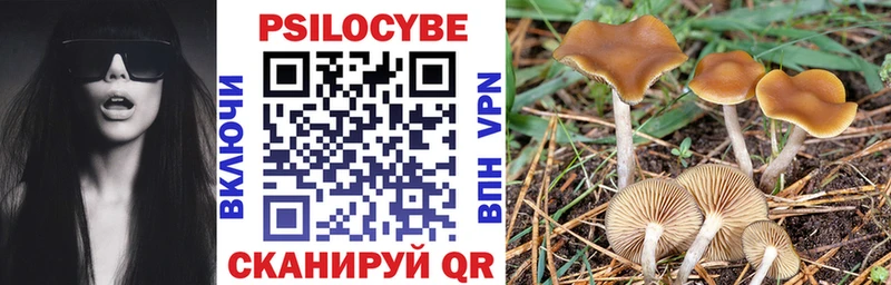 hydra как войти  Новоаннинский  Галлюциногенные грибы GOLDEN TEACHER 